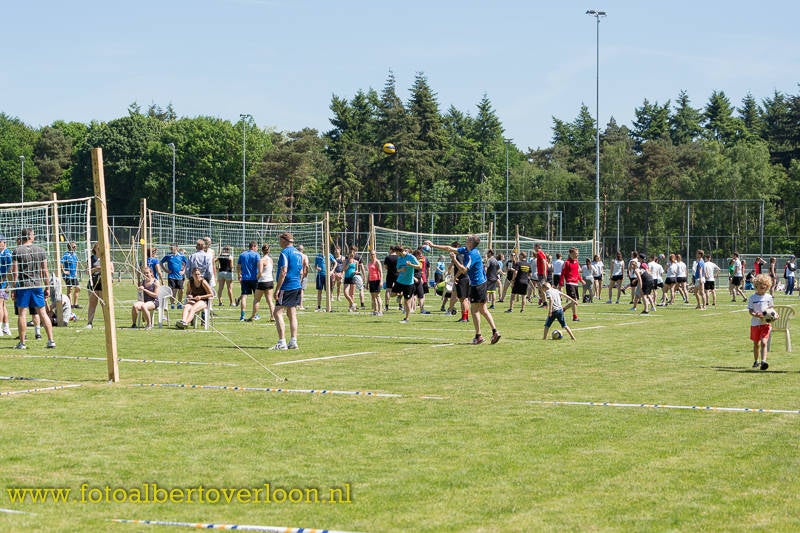 Volleybaltoernooi47.jpg