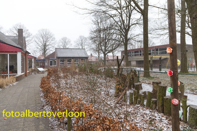 WerkdagGroenSchoolplein--4.jpg