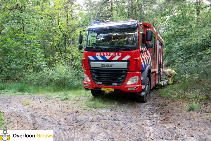 bosbrand-brandweer-schaalt-op-naar-zeer-grote-brand-17-06-2025-03-standard.jpg