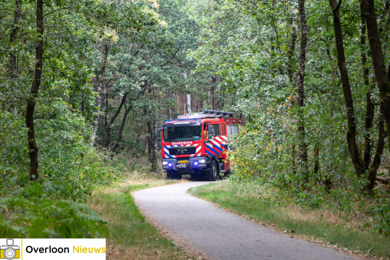 bosbrand-in-overloon-snel-onder-controle-24-07-2026-02-standard.jpg