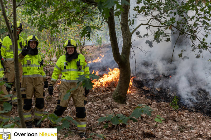 bosbrand-in-overloon-snel-onder-controle-24-07-2026-03-standard.jpg
