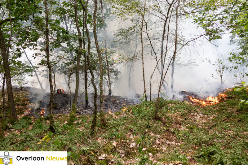 bosbrand-in-overloon-snel-onder-controle-24-07-2026-06-standard.jpg