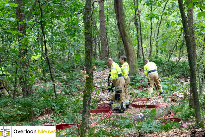 bosbrand-in-overloon-snel-onder-controle-24-07-2026-09-standard.jpg