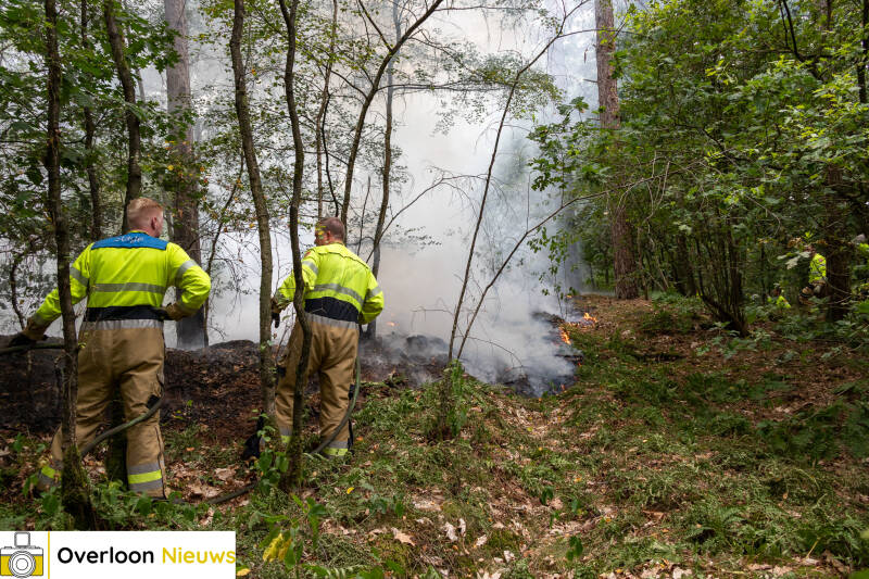 bosbrand-in-overloon-snel-onder-controle-24-07-2026-11-standard.jpg