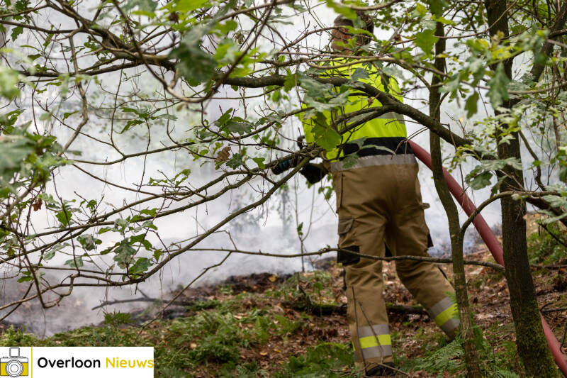 bosbrand-in-overloon-snel-onder-controle-24-07-2026-12-standard.jpg