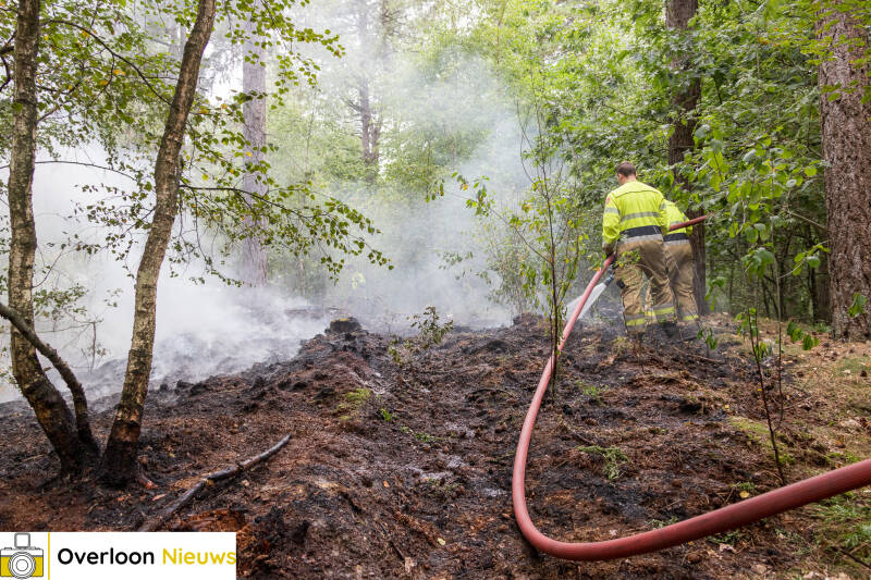 bosbrand-in-overloon-snel-onder-controle-24-07-2026-14-standard.jpg