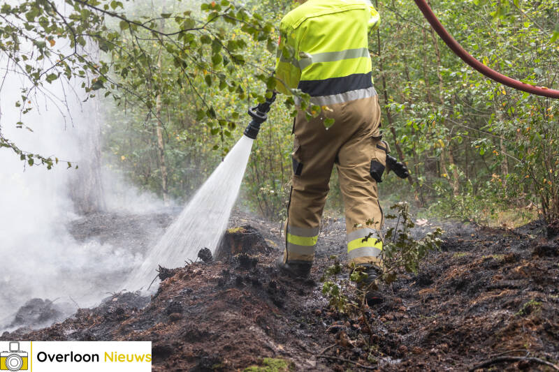 bosbrand-in-overloon-snel-onder-controle-24-07-2026-15-standard.jpg