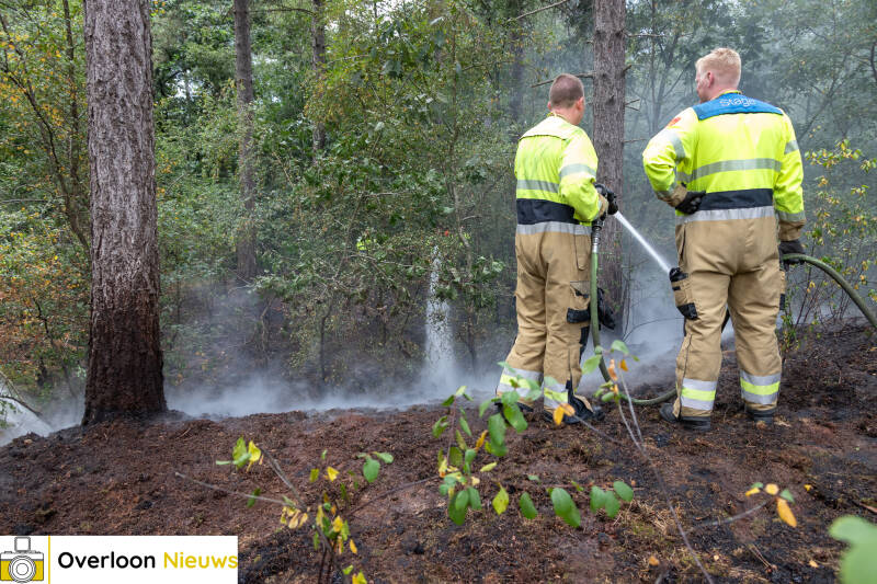 bosbrand-in-overloon-snel-onder-controle-24-07-2026-16-standard.jpg