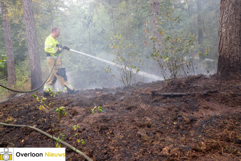 bosbrand-in-overloon-snel-onder-controle-24-07-2026-17-standard.jpg