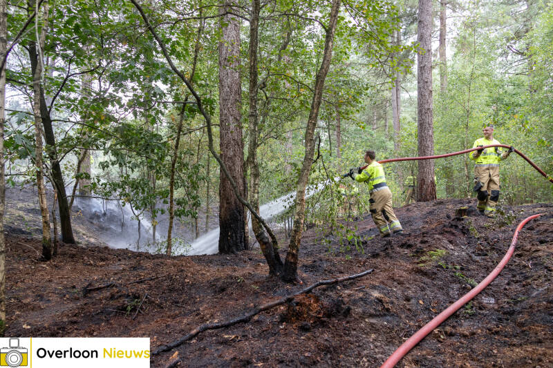bosbrand-in-overloon-snel-onder-controle-24-07-2026-18-standard-il5ilp.jpg