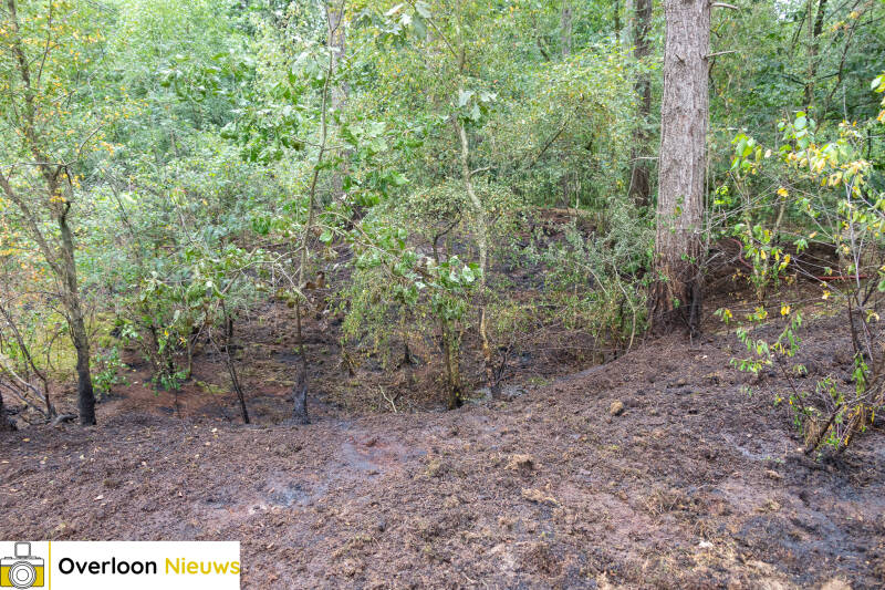 bosbrand-in-overloon-snel-onder-controle-24-07-2026-20-standard.jpg