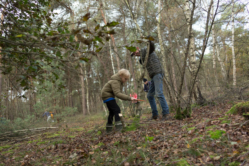 bosgroepenscoutingverwijderenopschotvandennenenandereboompjesjaarlijksenatuurwerkdag04-11-2023--10-2.jpg