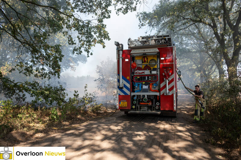 brandweer-voorkomt-verdere-uitbreiding-van-natuurbrand-14-08-2026-01-standard.jpg