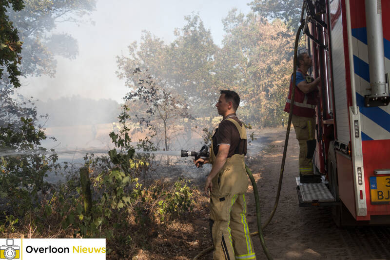 brandweer-voorkomt-verdere-uitbreiding-van-natuurbrand-14-08-2026-02-standard.jpg