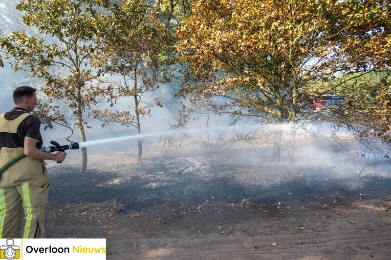 brandweer-voorkomt-verdere-uitbreiding-van-natuurbrand-14-08-2026-04-standard-9vqebh.jpg