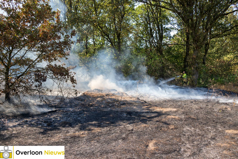 brandweer-voorkomt-verdere-uitbreiding-van-natuurbrand-14-08-2026-05-standard.jpg