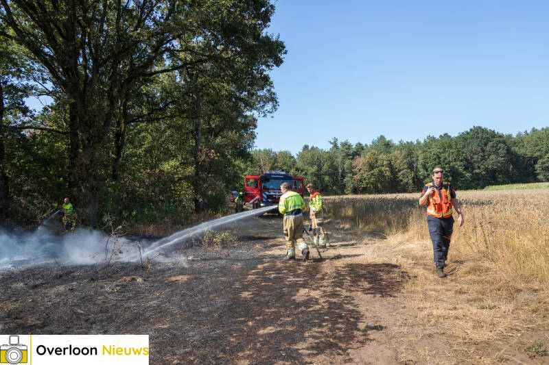 brandweer-voorkomt-verdere-uitbreiding-van-natuurbrand-14-08-2026-06-standard.jpg