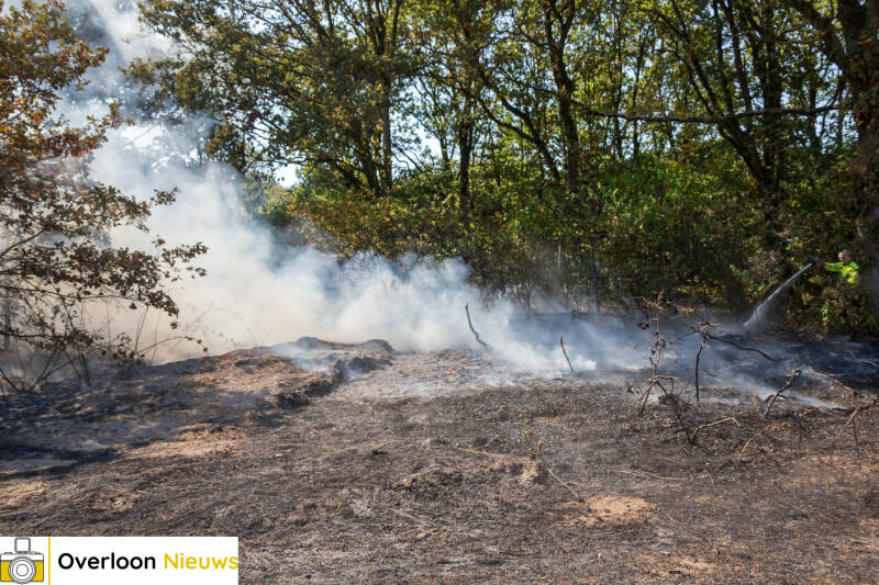 brandweer-voorkomt-verdere-uitbreiding-van-natuurbrand-14-08-2026-08-standard.jpg