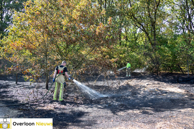 brandweer-voorkomt-verdere-uitbreiding-van-natuurbrand-14-08-2026-10-standard.jpg