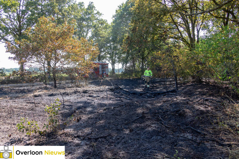 brandweer-voorkomt-verdere-uitbreiding-van-natuurbrand-14-08-2026-11-standard.jpg