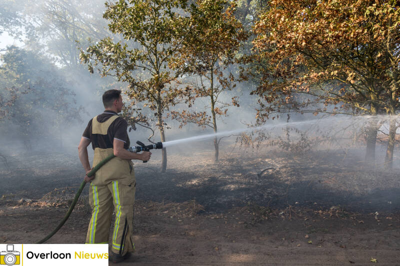 brandweer-voorkomt-verdere-uitbreiding-van-natuurbrand-14-08-2026-13-standard-zh4zey.jpg