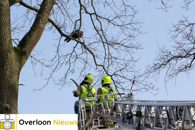 brandweerinactieomvogeluitboomteredden08-03-2024-8.jpg