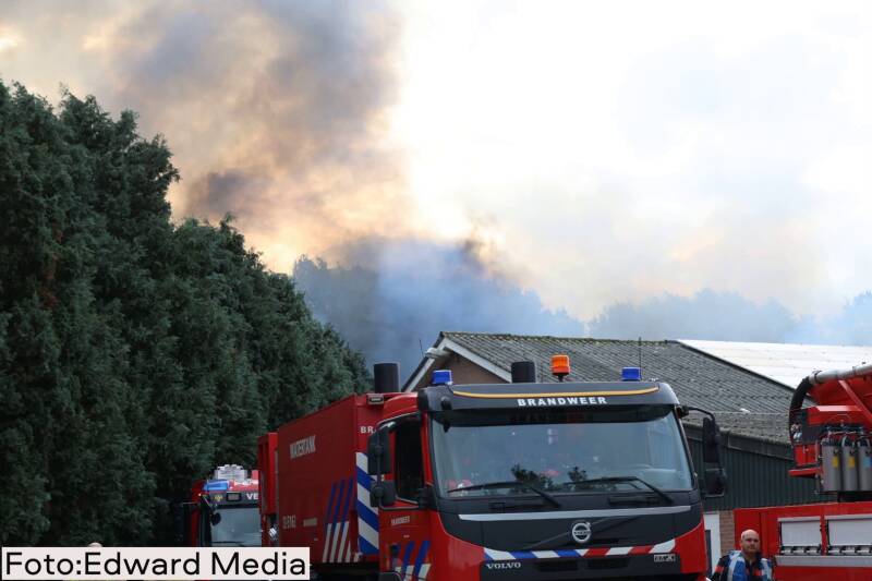 foto-edward-media3-standard-rewu4v.jpg