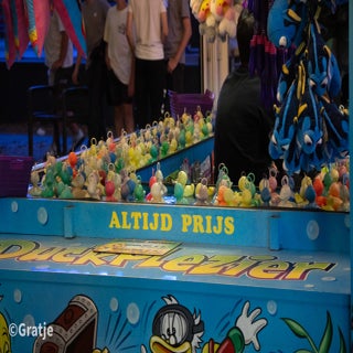 foto-geert-arts-67-standard-m8kjzj.jpg