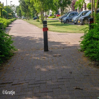 foto-geert-arts-81-standard-rvf4xd.jpg