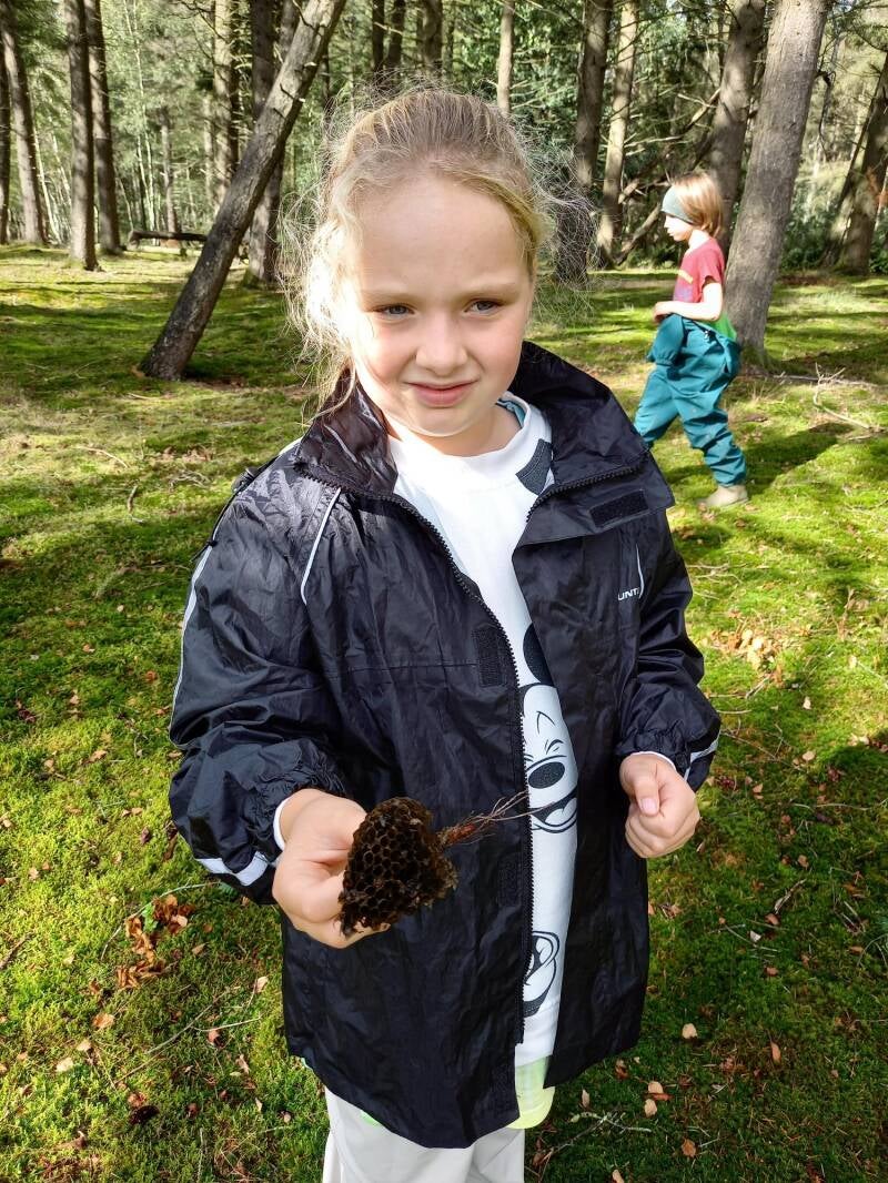 foto-jac-4-standard-w79ejg.jpg