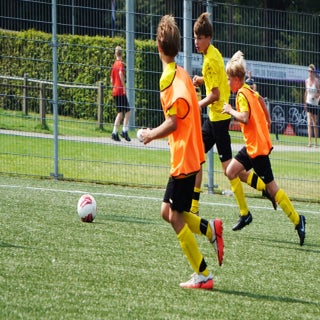 foto-jeff-meijs50-standard-m778w9.jpg