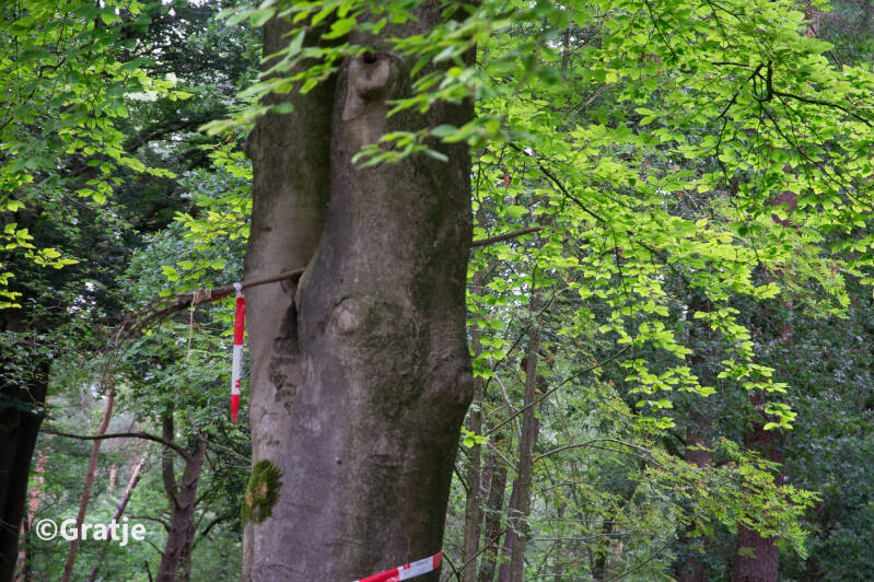 fotogeert12-07-2023-56.jpg
