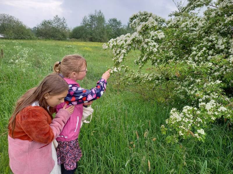 fotojac11-05-2023-9-1.jpg