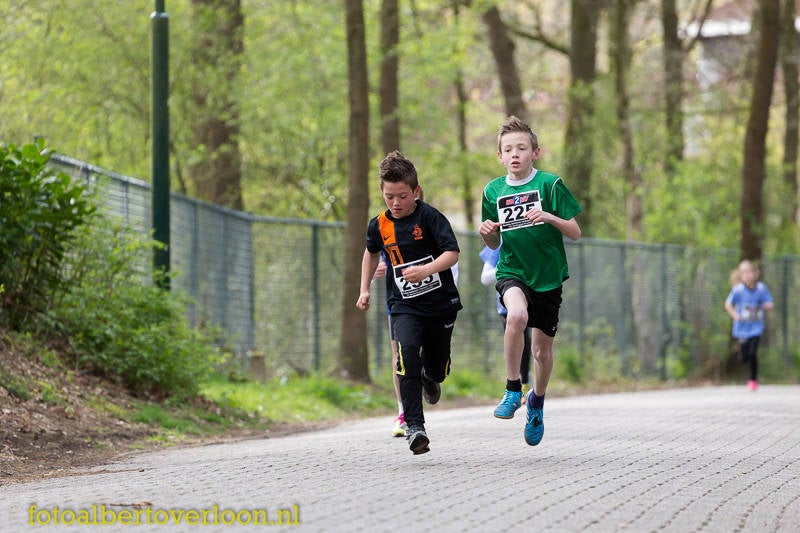 fotonr29-26.jpg
