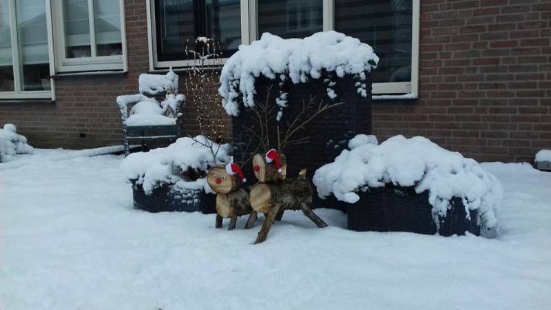 fotopiet3.jpg