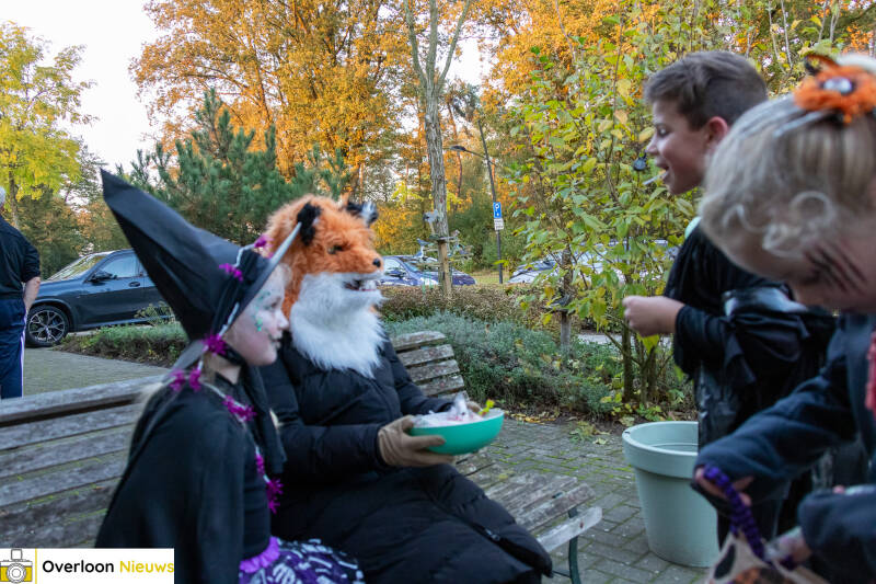 griezelige-tocht-vol-hartkloppingen-maar-iedereen-komt-veilig-thuis-25-10-2024-21-standard-ooiswc.jpg