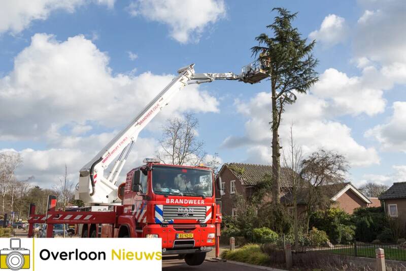 grotetakbreektuitboomenvernieltwoning19-2-2022--17-3.jpg