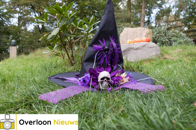 halloweenherfstpartyspeeltuingewoonbuiten28-10-2023-32-1.jpg