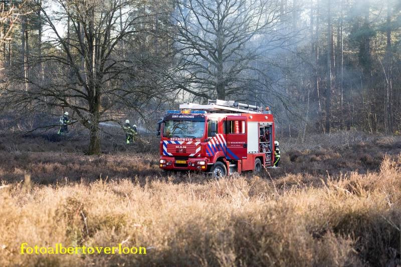 heidebrandinnatuurgebiedinOverloon27-03-201711.jpg