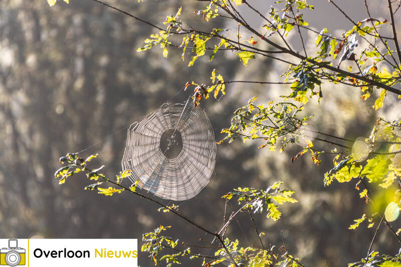 herfst-op-komst-22-09-2024-18-standard.jpg