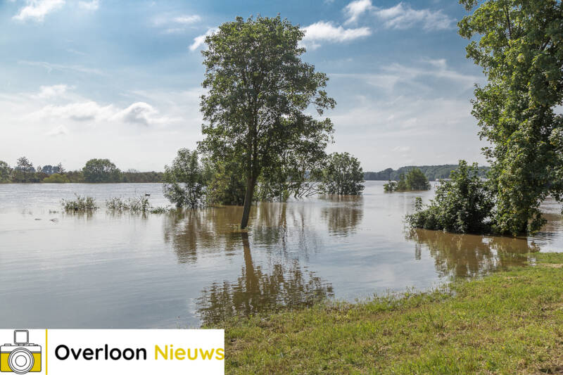 hoogwaterMaas17-07-2021-11.jpg
