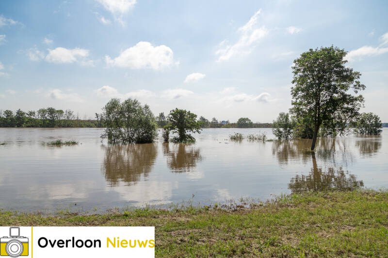hoogwaterMaas17-07-2021-12.jpg