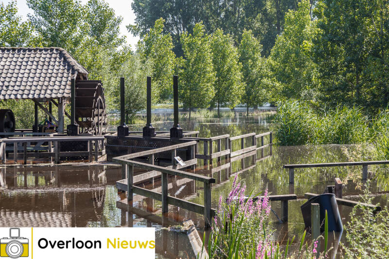 hoogwaterMaas17-07-2021-24.jpg