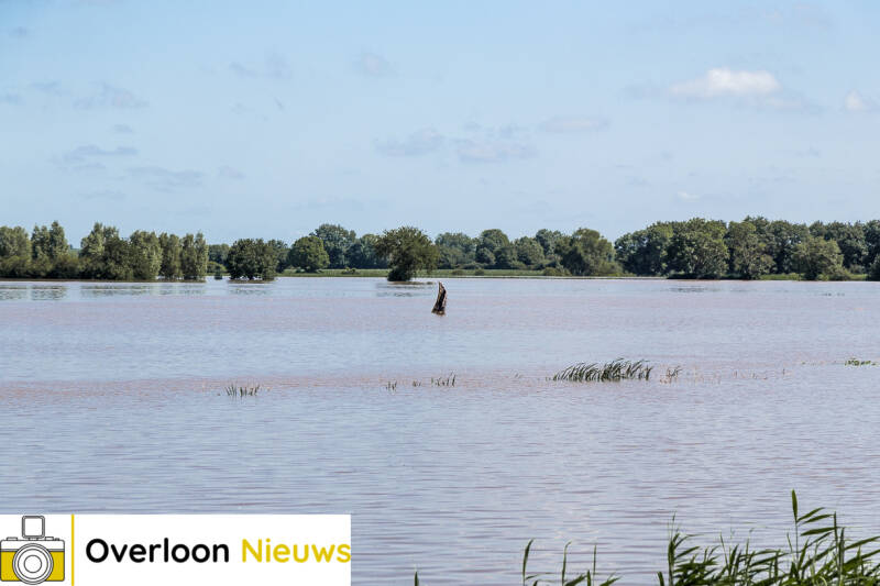 hoogwaterMaas17-07-2021-29.jpg