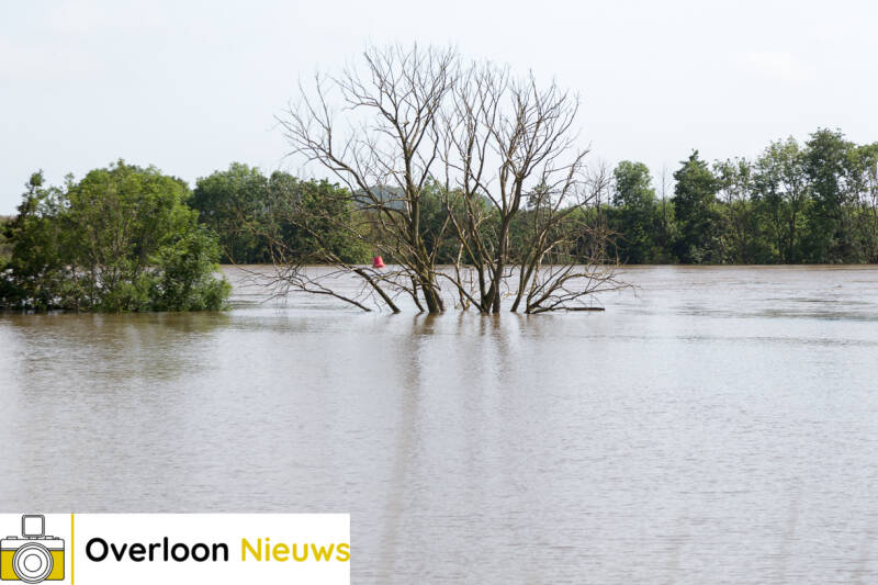 hoogwaterMaas17-07-2021-3.jpg