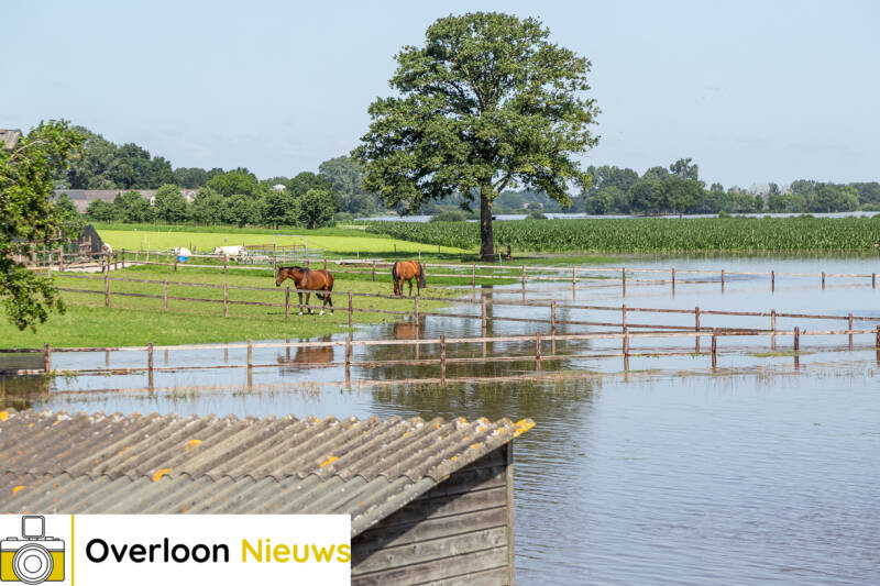 hoogwaterMaas17-07-2021-32.jpg