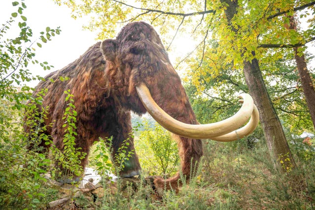 ijstijd-in-zooparc-1-standard.jpg