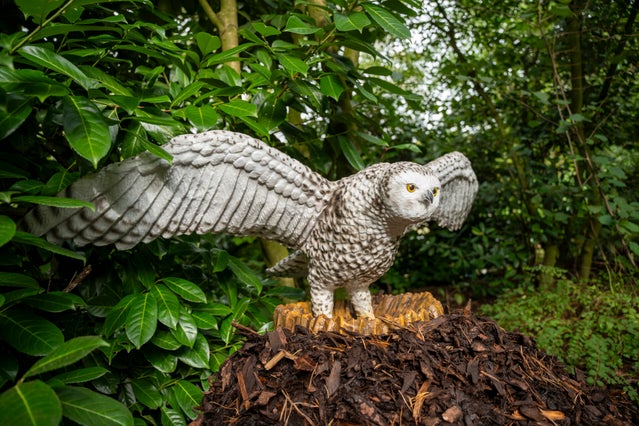 ijstijd-in-zooparc-3-standard.jpg