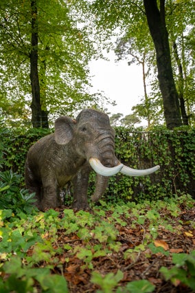 ijstijd-in-zooparc-5-standard.jpg