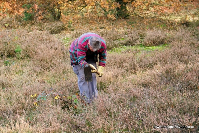 Natuurwerkdag in overloon 05-11-2011 (42).JPG